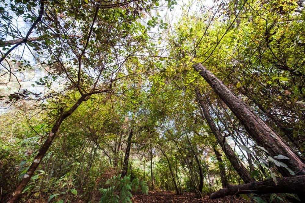 Lofts In The Forest Avandaro Luaran gambar