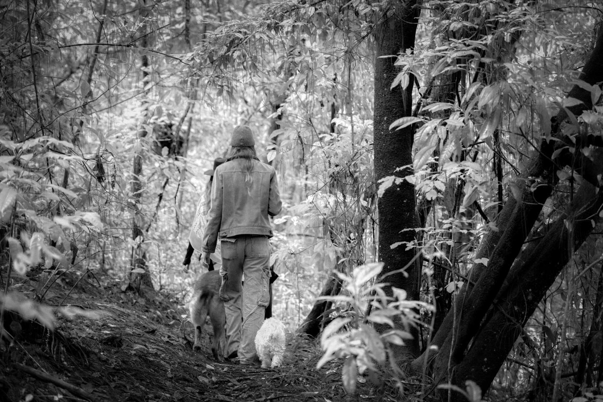 Lofts In The Forest Avandaro Luaran gambar